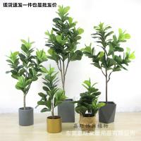uploads/erp/collection/images/Home Garden/dgjiawang/XU0612608/img_b/XU0612608_img_b_1